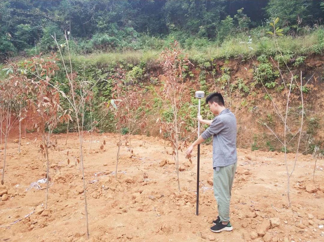 土地妄想部项目纪实丨15vip太阳集团人，，助力荒地变桑田！！