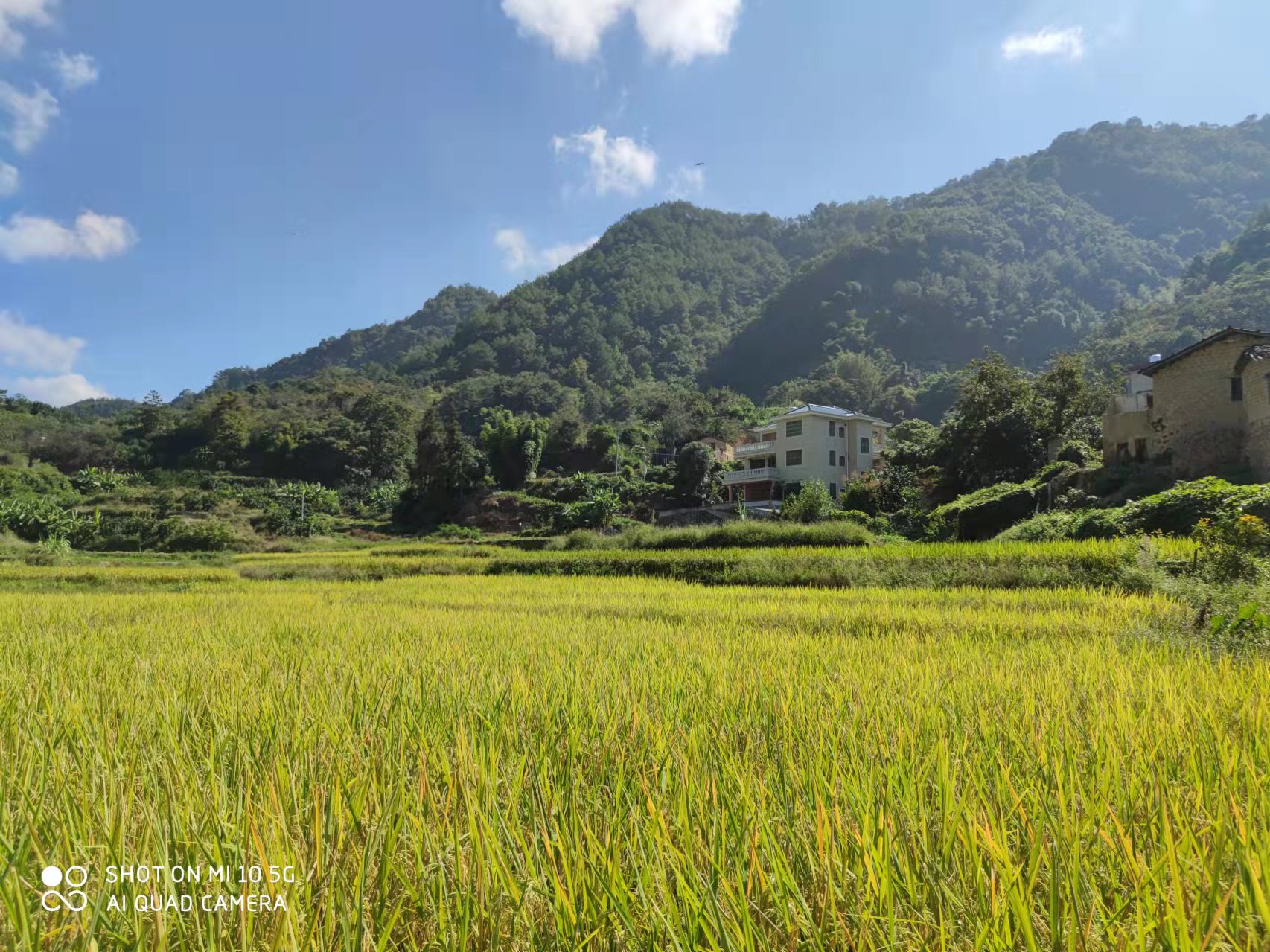 恢复（增补）耕地项目怎么干？？？15vip太阳集团有话说