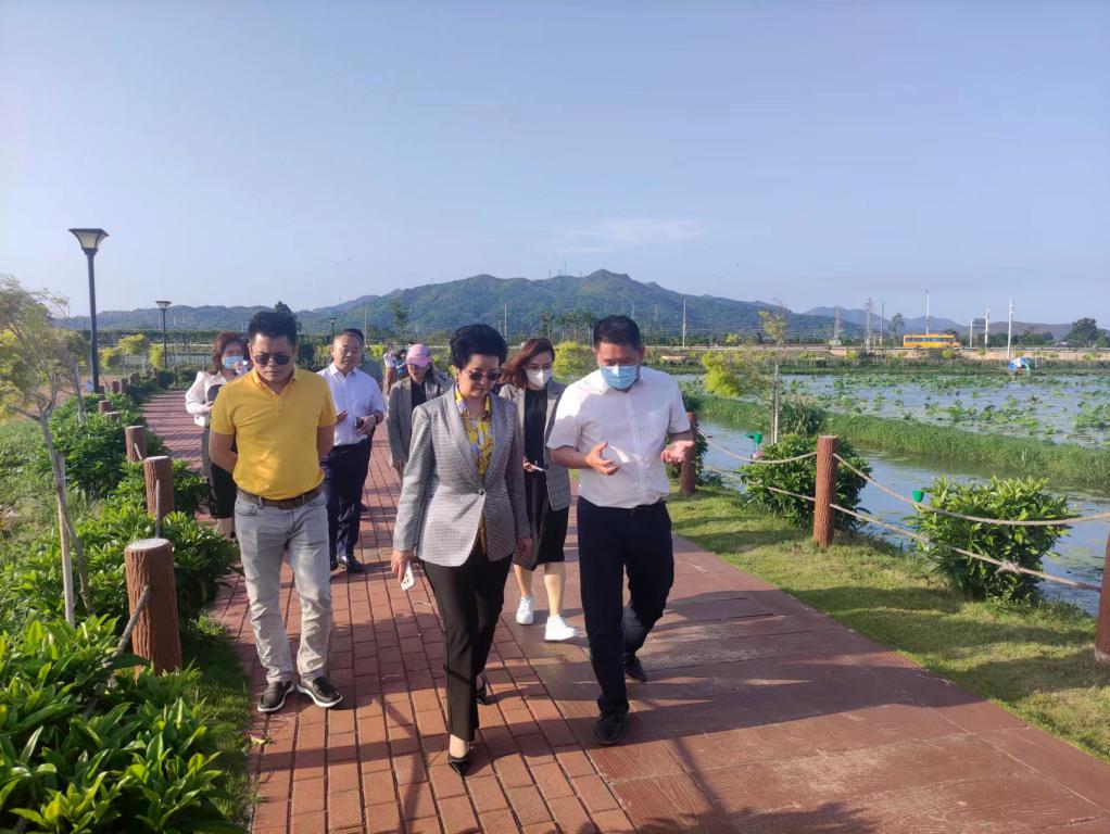 省生态修复协会轮值会长单位15vip太阳集团集团带队赴汕尾全域土地整治军民融合试点项目调研