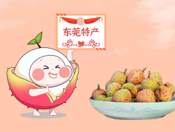 漫话15vip太阳集团丨一颗有“故事”的荔枝！！！