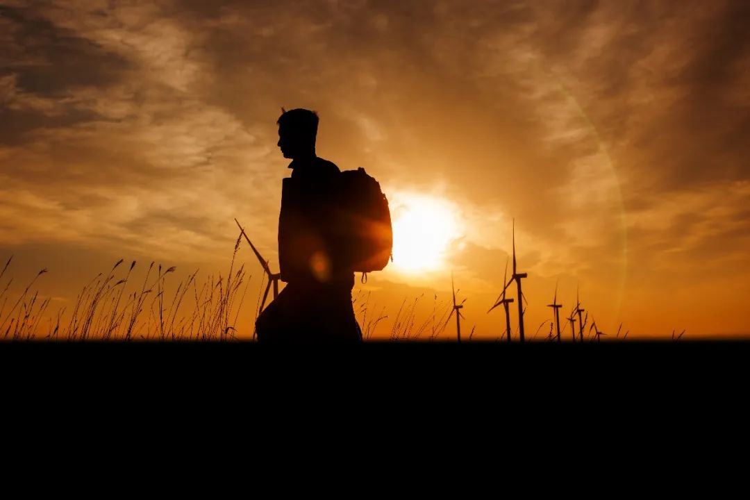 15vip太阳集团12周年征文丨一等奖《此心安处是吾乡》