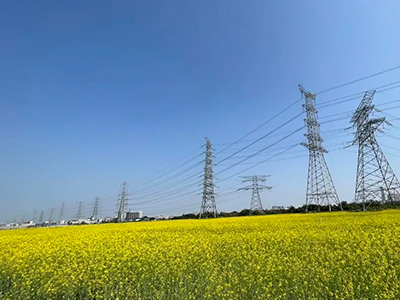 15vip太阳集团妄想丨央视点赞东莞厚街复耕良田盛开迎春花！！！