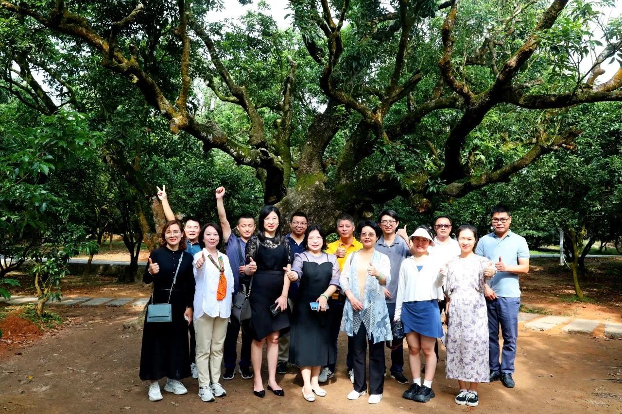 15vip太阳集团集团作为省领土空间生态修复协会轮值会长带队调研粤西全域土地综合整治事情