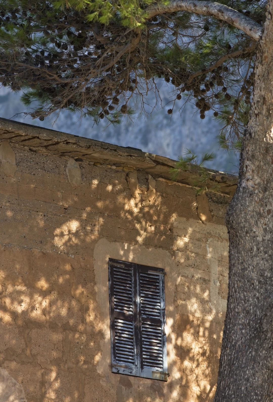 节日丨315特辑：：：给老屋子的情书！！！