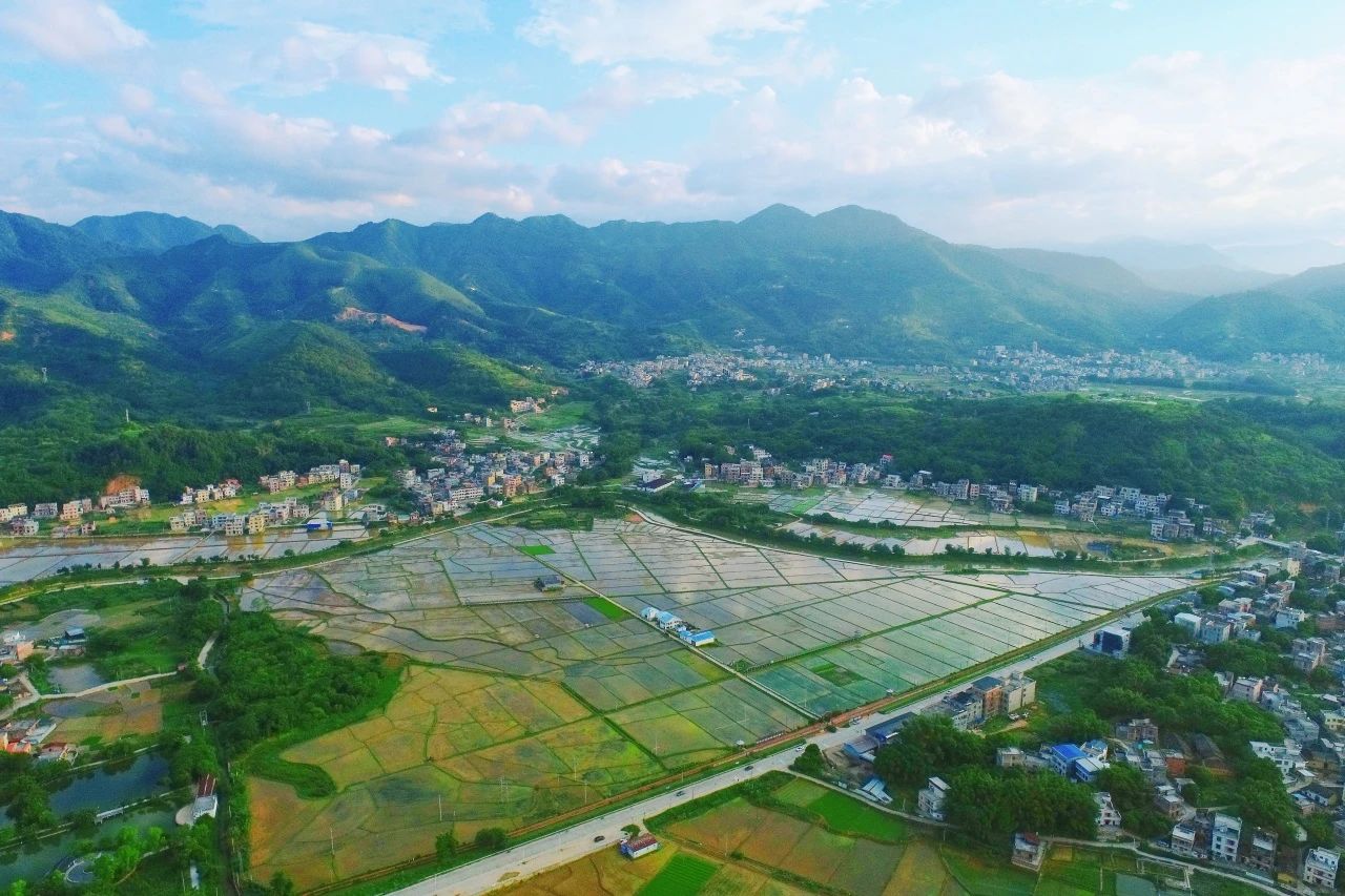 15vip太阳集团集团丨“百万万工程”显实效：：：云浮罗定泗纶镇以全域土地综合整治为抓手，，，绘就墟落振兴新画卷