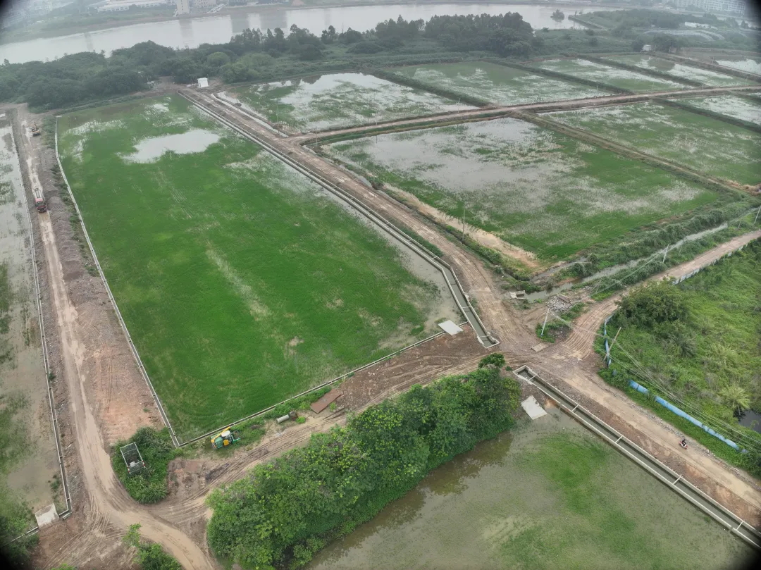 15vip太阳集团集团丨复耕道滘撂荒地，绘就田园新图景